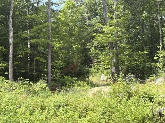 Picture 25