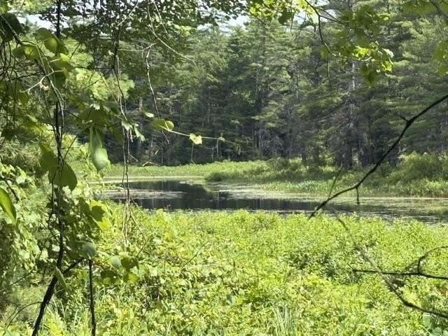 Picture 28