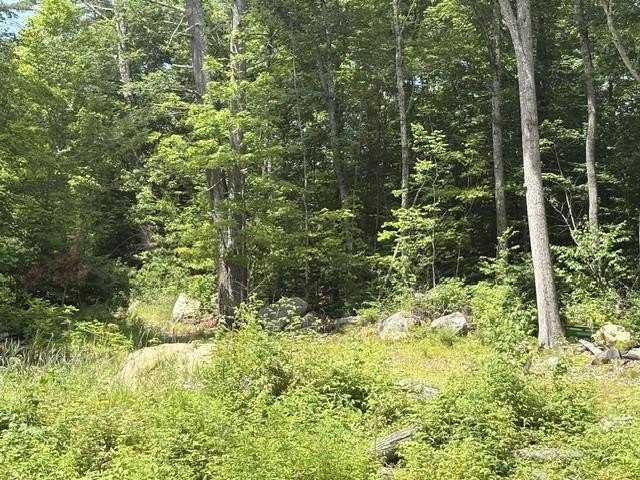 Picture 24