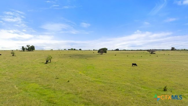 Picture 44