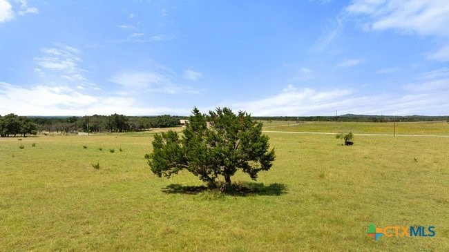 Picture 27