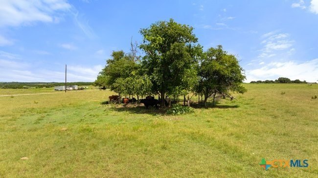 Picture 19