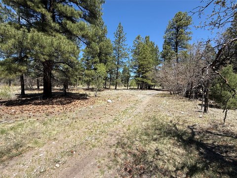 Chama, NM Land Parcel