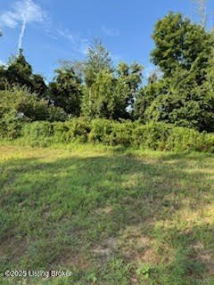 Wooded Lot in Sycamore Run