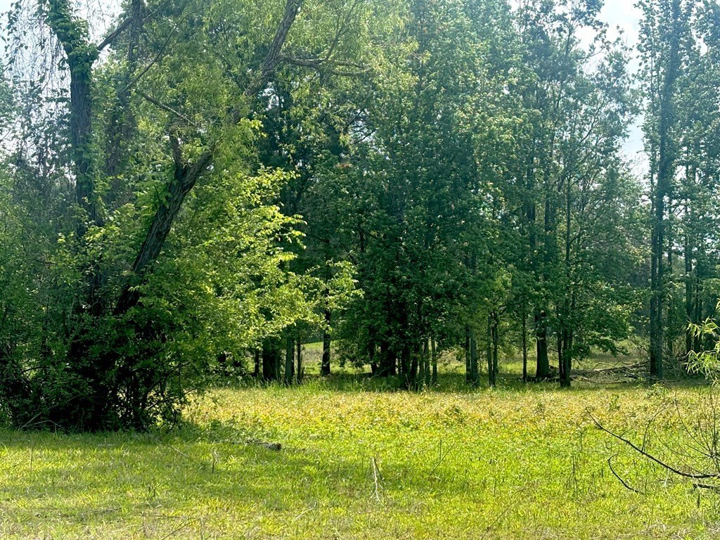 Picture 6
