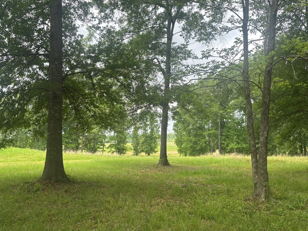 Picture 3