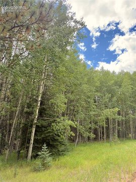 Land, Florissant, CO