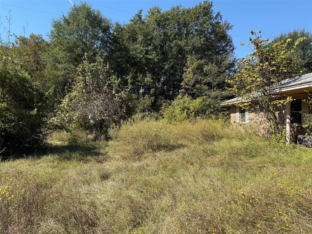 Picture 5