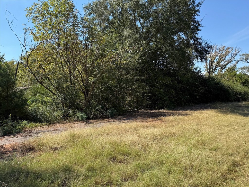 Picture 11