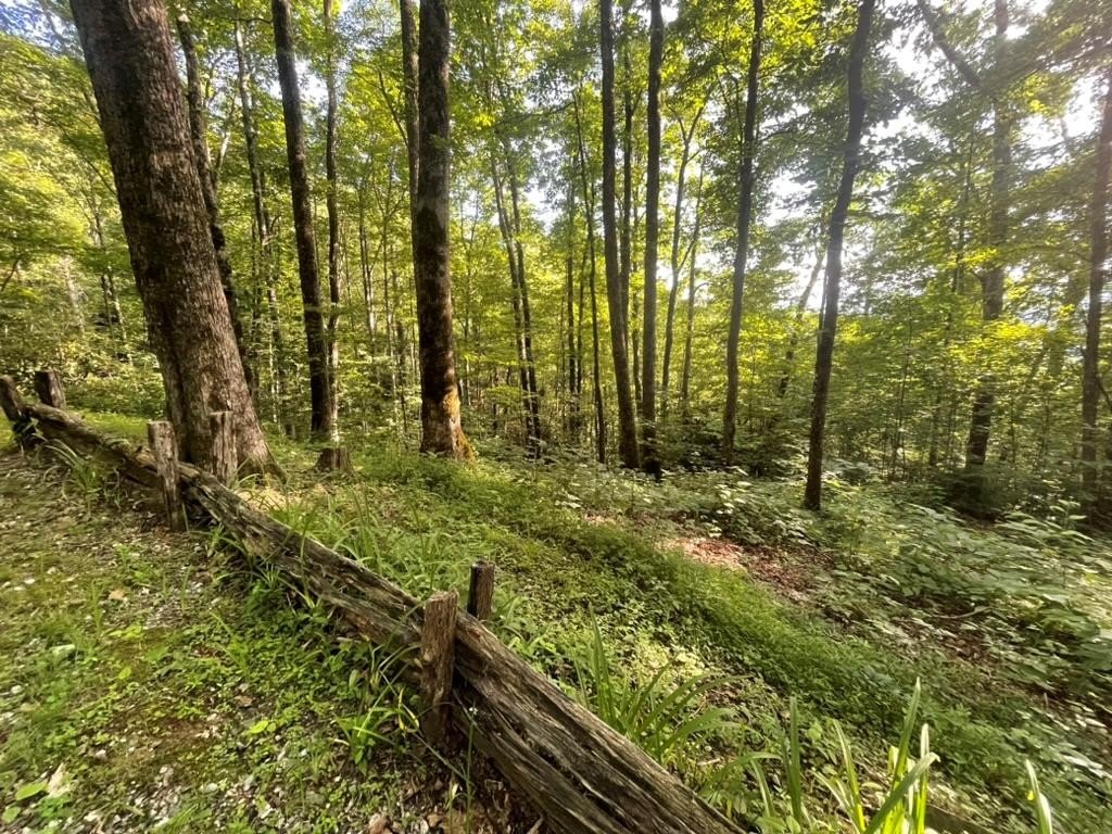 Vacant Homesite Bordering National Forest