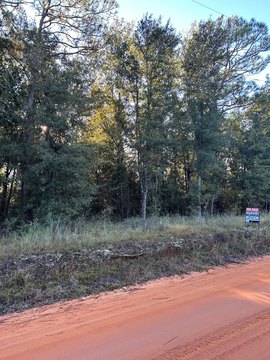 Wooded Lot Near Seminole Park