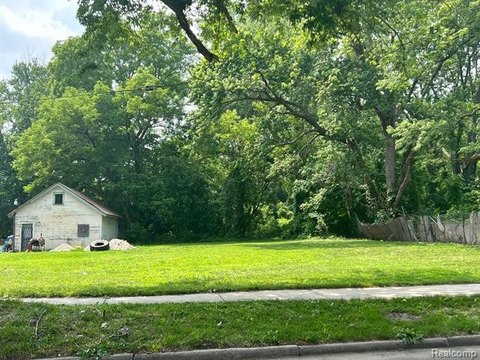 Detroit Land Opportunity