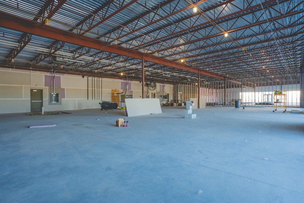 Picture 5