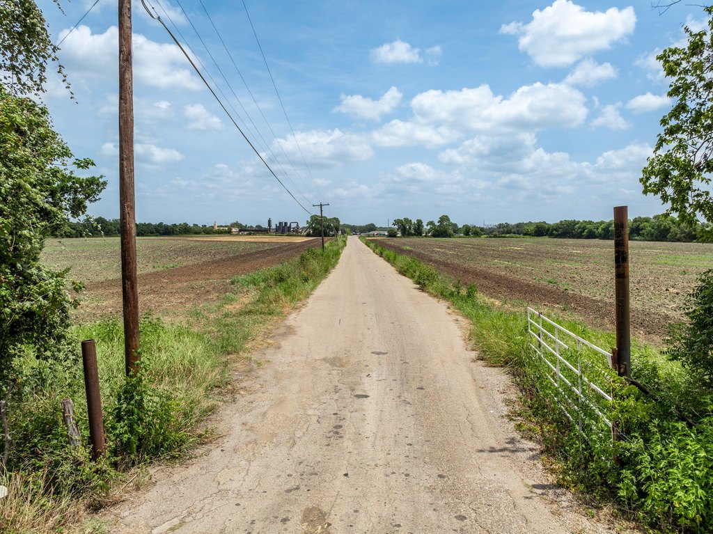 Picture 15