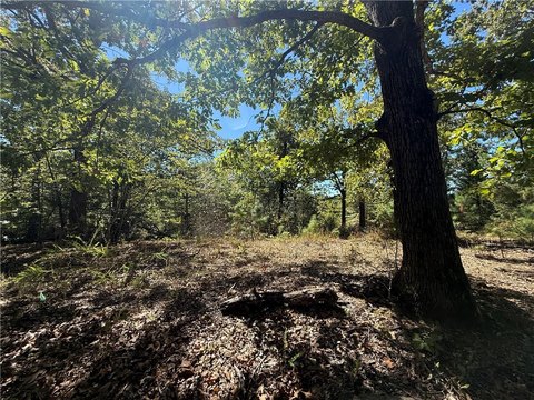 Land, Lowell, AR
