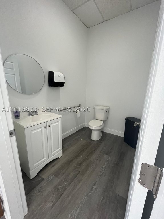 Picture 17