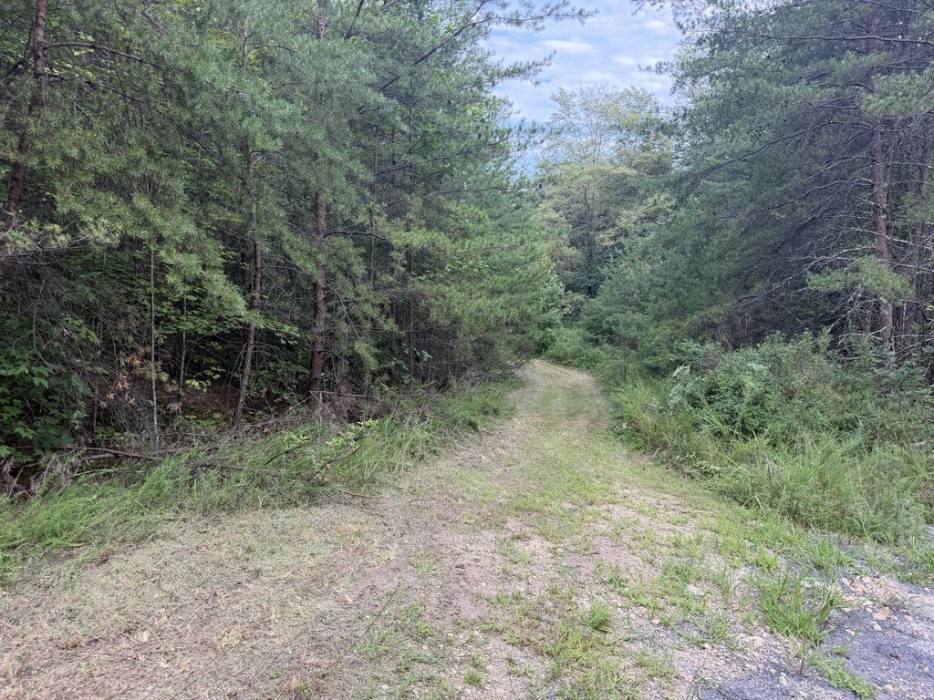 Picture 10
