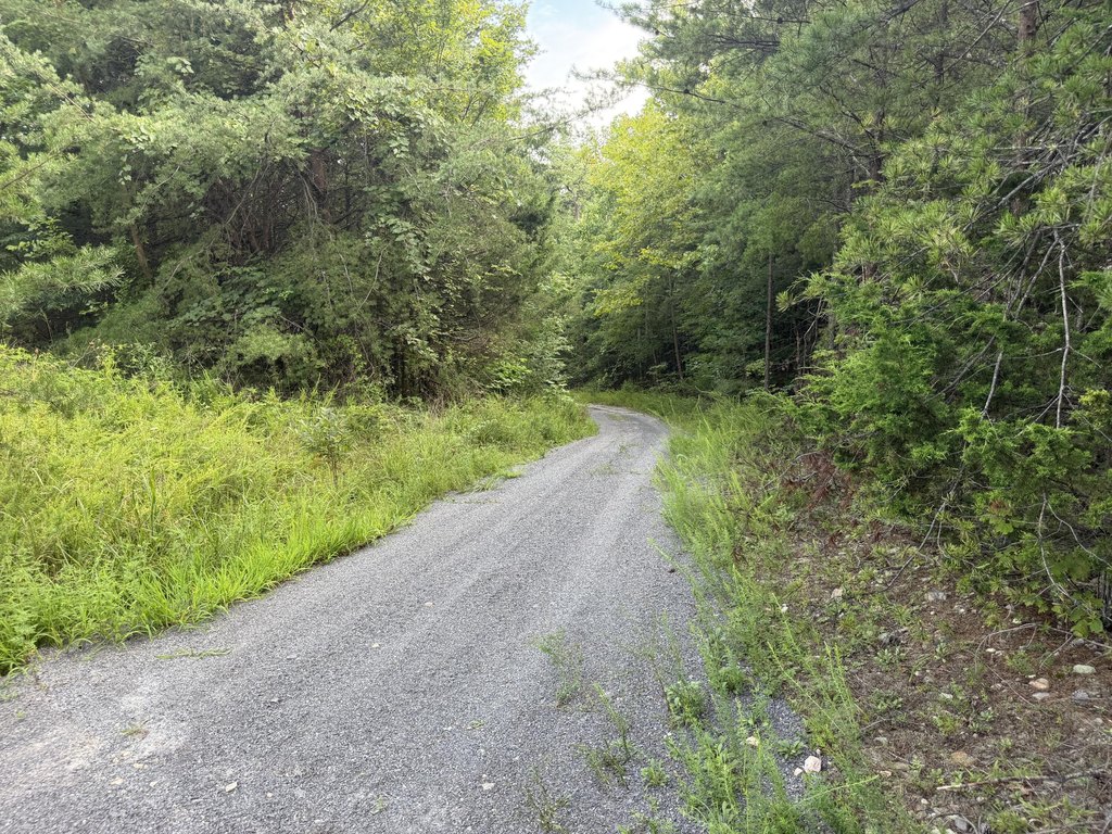 Picture 11
