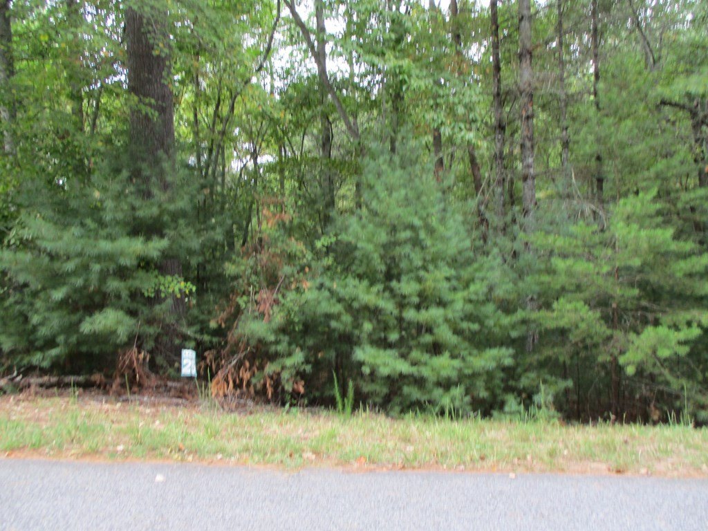 Picture 2
