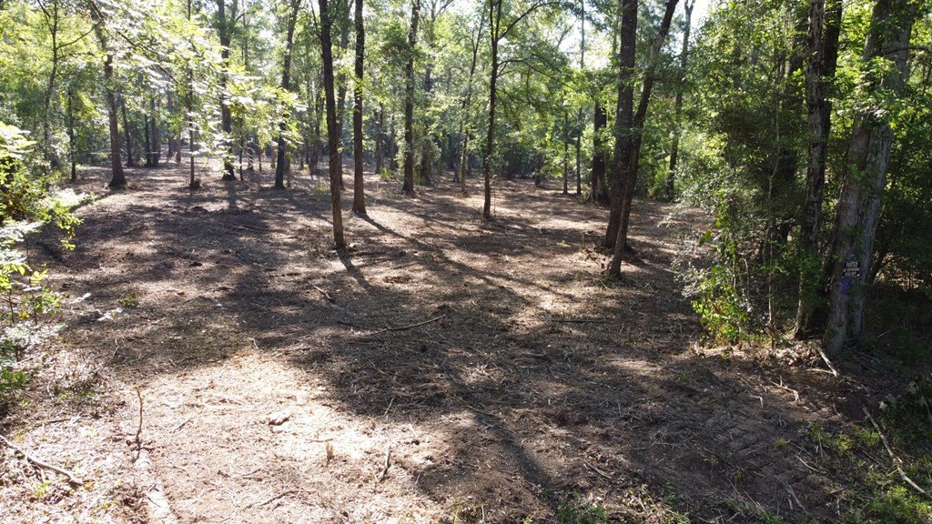 Picture 5