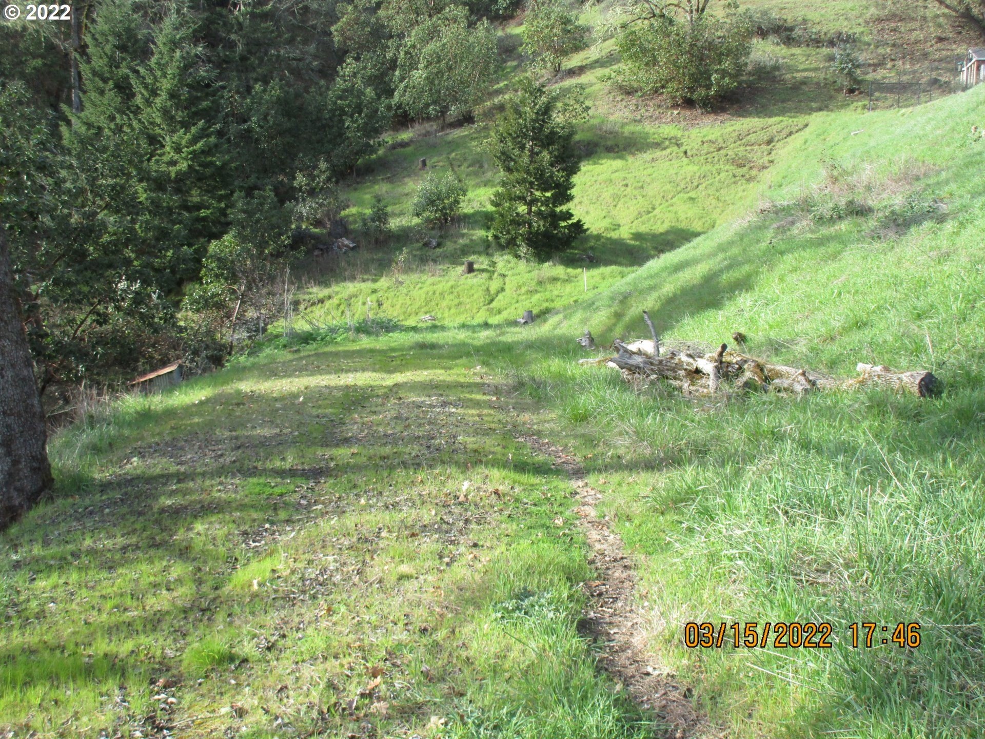 Roseburg Land with Views