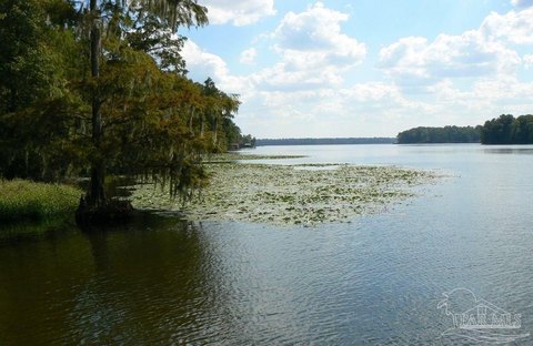 Lake Talquin Residential Lot