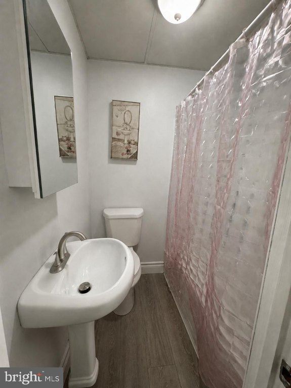 Picture 5