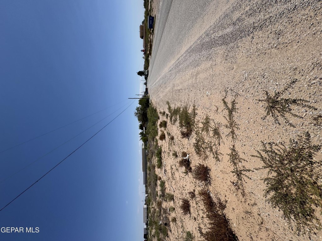 Picture 6