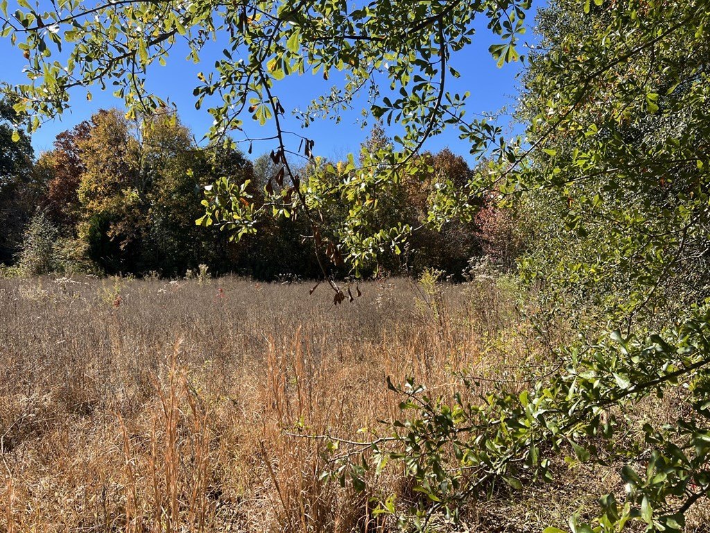 Picture 30