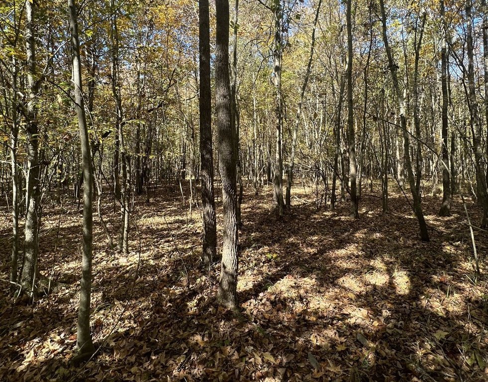 Picture 29
