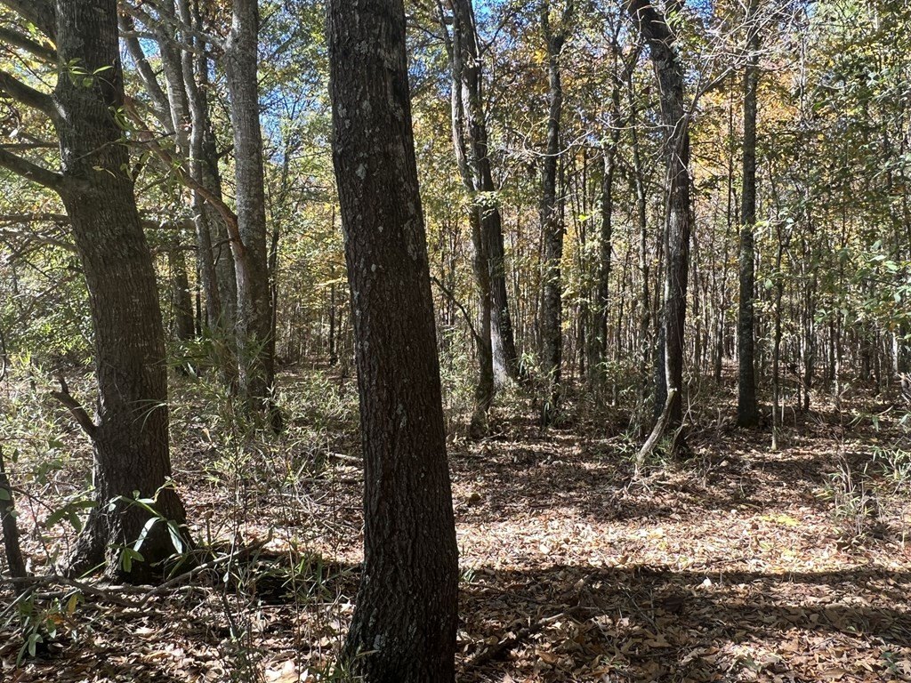 Picture 24