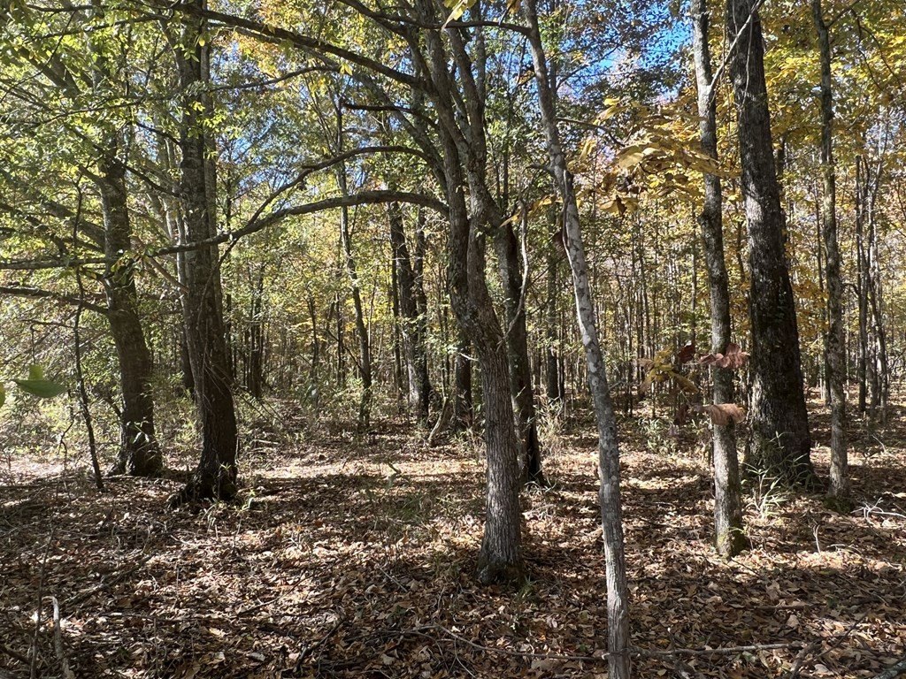 Picture 23