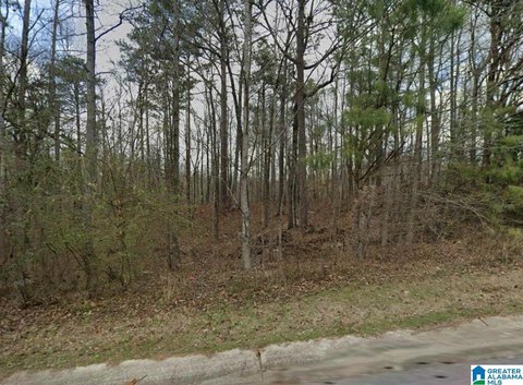 Residential Homesite with Road Frontage