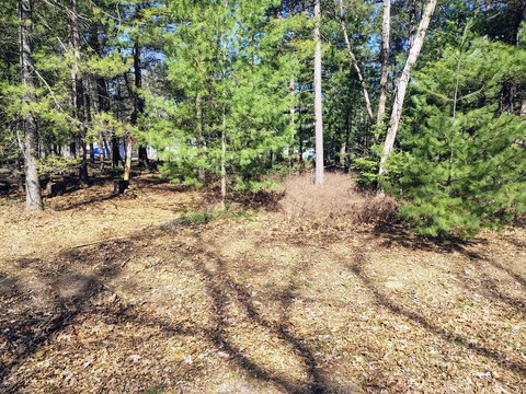 Vacant Lot Near Houghton Lake