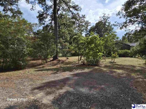 Land, Hartsville, SC