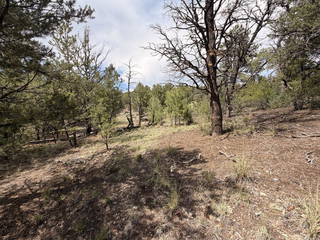 Picture 7