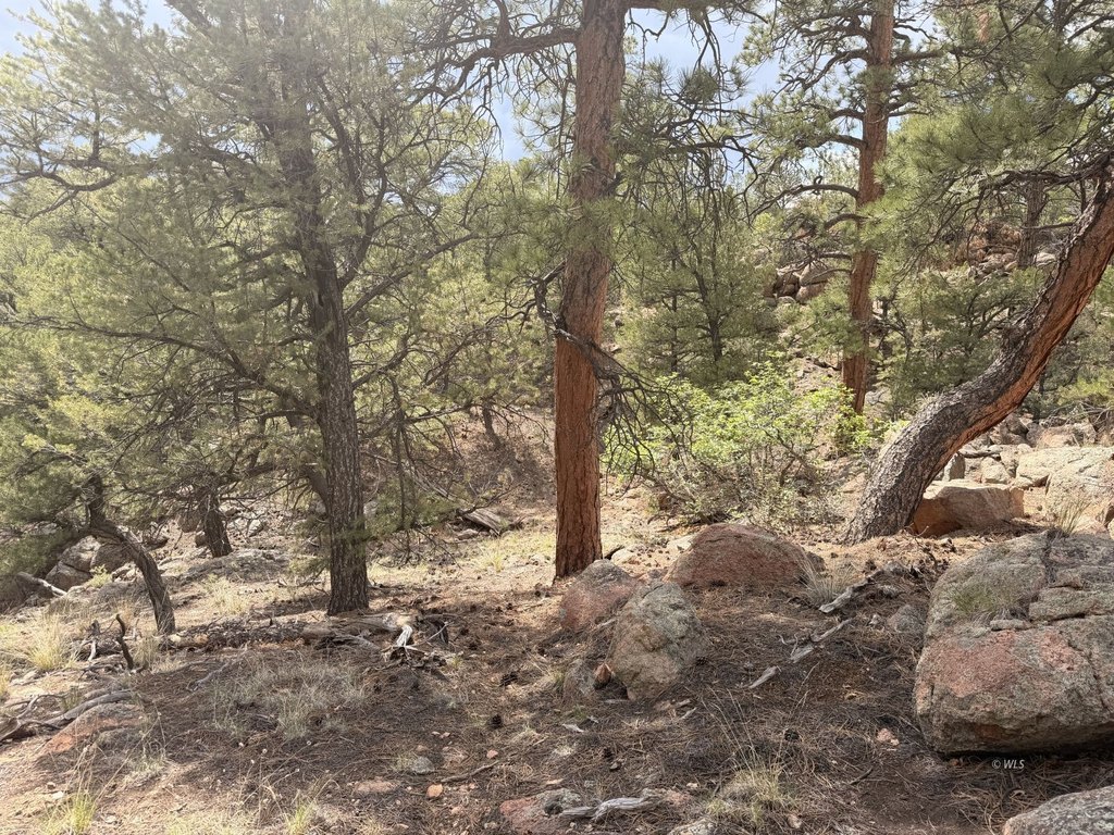Picture 15