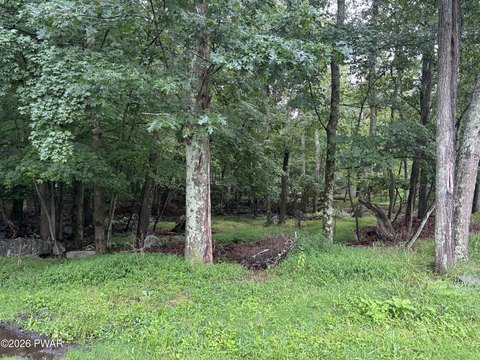 Land, Dingmans Ferry, PA