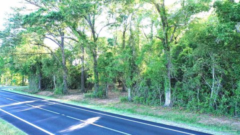Land in Dixonville Community, Jay