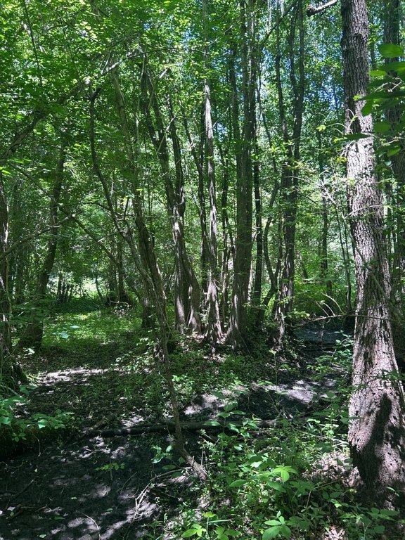 Picture 11