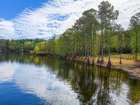 Land, Hemphill, TX
