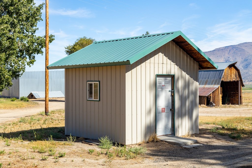 Picture 35