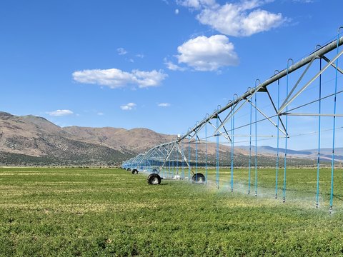 Irrigated Ranch with Multiple Wells