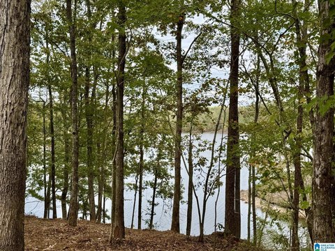 Lakefront Residential Lot
