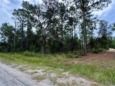 Land, Citrus Springs, FL