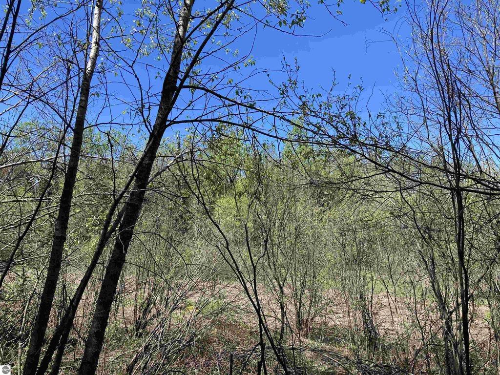 Picture 19