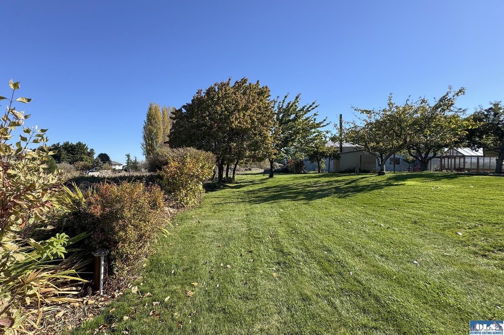 Picture 25