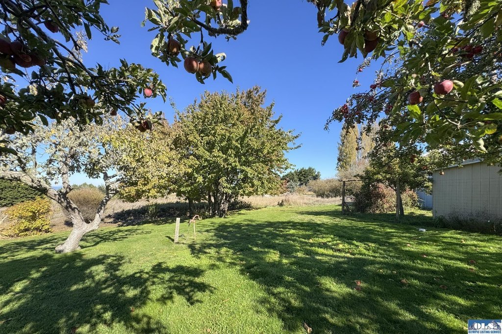 Picture 28