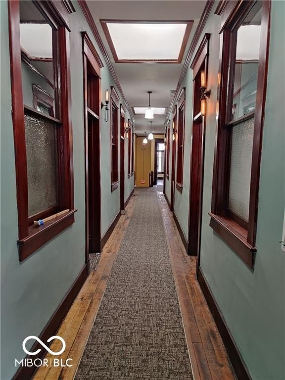 Picture 21