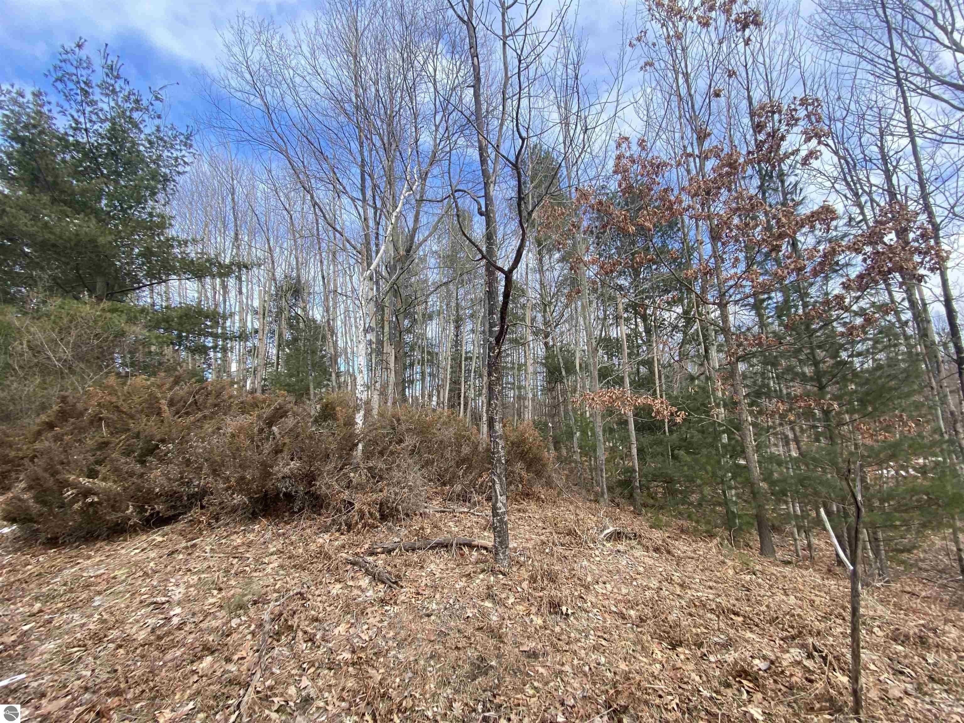 Residential Lot in Kirkridge Hills